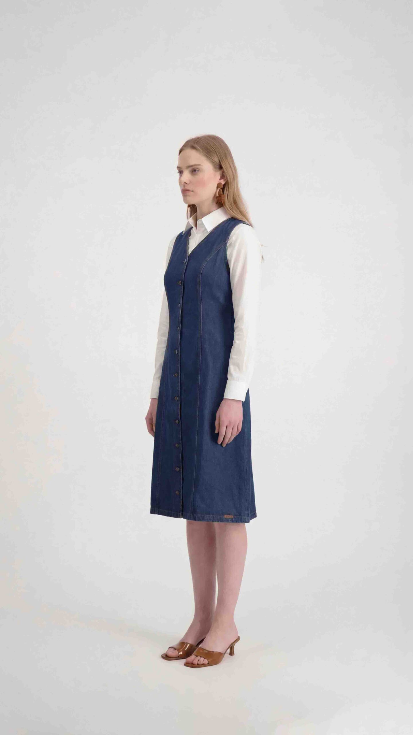 סרפן מעיין כחול – תמונה 3